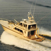 Striker yacht built by Royal Hakvoort Shipyard, showcasing sleek exterior lines, sporty profile, and premium Dutch yacht craftsmanship.